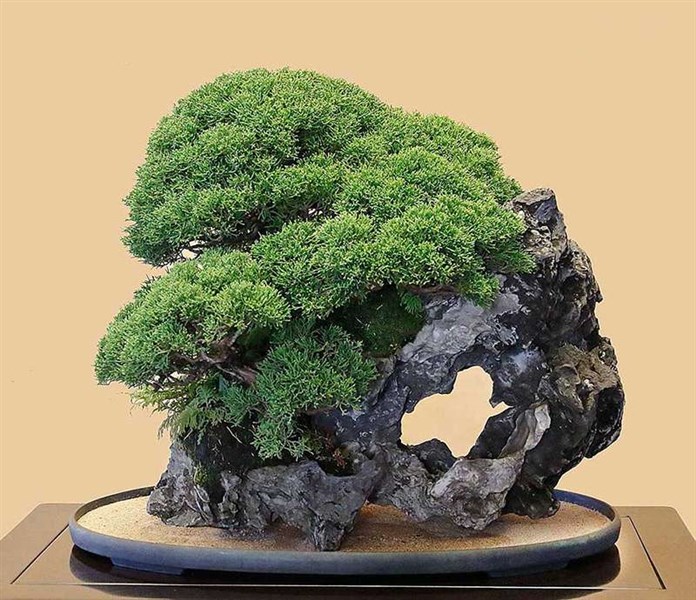 Những Lưu Ý Và Cách Lựa Chọn Mua Hòn Non Bộ Đẹp, Giá Cả Hợp Lý